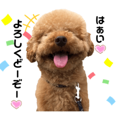 [LINEスタンプ] 我が家のひらめ