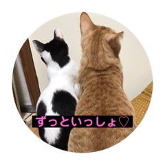 [LINEスタンプ] うちの子仲良し