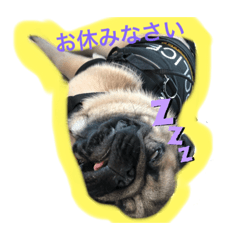 [LINEスタンプ] パグのグゥ