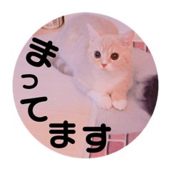 [LINEスタンプ] 敬語ゆめちゃん❤