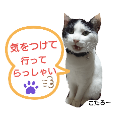 [LINEスタンプ] こたろーPart11