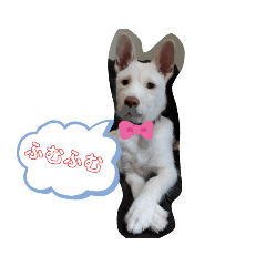 [LINEスタンプ] ドンとアーロ その 1