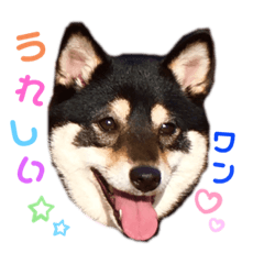 [LINEスタンプ] Shizuku's family