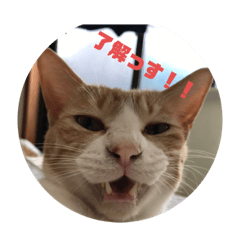 [LINEスタンプ] 悪ガキのお返事
