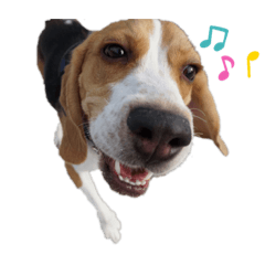 [LINEスタンプ] つぶと一言