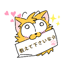 [LINEスタンプ] 変な犬に教えて