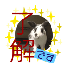 [LINEスタンプ] イヌ挨拶