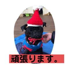 [LINEスタンプ] キンの幸せ