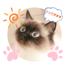 [LINEスタンプ] ひめまる☆スタンプ