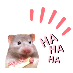 [LINEスタンプ] 家のハムちゃん