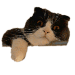 [LINEスタンプ] リリーいろいろ