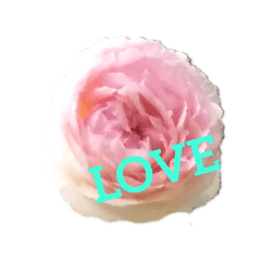 [LINEスタンプ] LoveRose