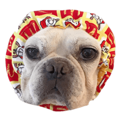 [LINEスタンプ] iamhachi