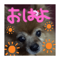 [LINEスタンプ] 世界一のぷりん