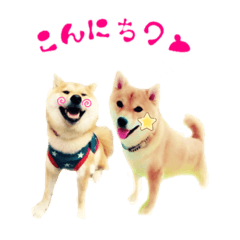 [LINEスタンプ] ももときなこの日常会話