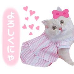 [LINEスタンプ] ラガマフィンのベルちゃん