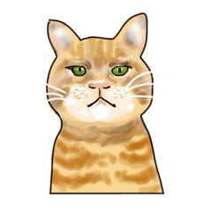 [LINEスタンプ] ネコの伝言