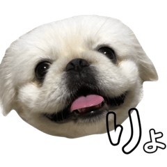 [LINEスタンプ] しーはるすたんぷ