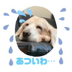 [LINEスタンプ] らっく＆れあの日常2