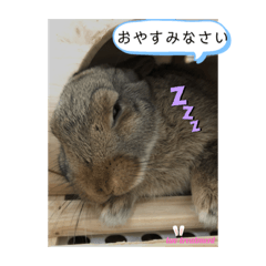 [LINEスタンプ] まいにちトリちゃん2