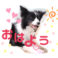 [LINEスタンプ] 花梨家