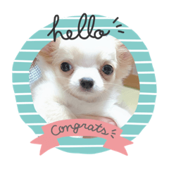 [LINEスタンプ] ひまりちゃんスタンプ①