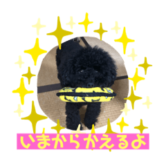 [LINEスタンプ] 黒プーのモノノア パート2.5