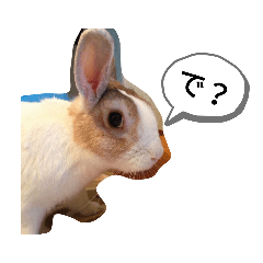 [LINEスタンプ] ごまたんぷ
