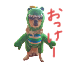 [LINEスタンプ] クウチャン