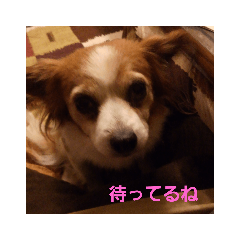 [LINEスタンプ] maronstanp