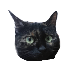 [LINEスタンプ] ねこのねこち