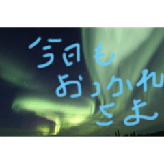 [LINEスタンプ] アラスカ、ん？