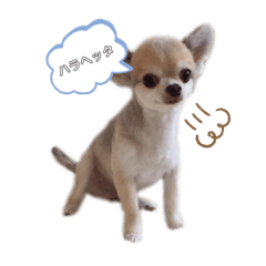 [LINEスタンプ] テト＆ユパ