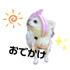 [LINEスタンプ] 可愛いルルのおはなし❷