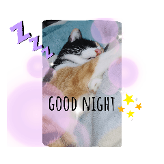 [LINEスタンプ] ららスタンプ1