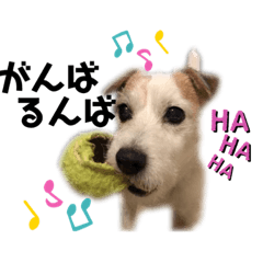 [LINEスタンプ] ルーしゃんがんばるんば