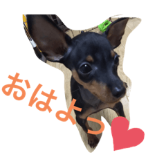 [LINEスタンプ] ミニピンのしおたん