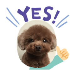 [LINEスタンプ] わんこスタンプ♪