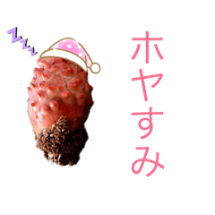 [LINEスタンプ] ホヤ、ナマコ、アワビ海産物スタンプ2