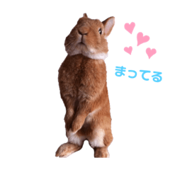 [LINEスタンプ] ルフォンのスタンプ