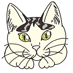 [LINEスタンプ] かわいい ちびねこ ちびこ