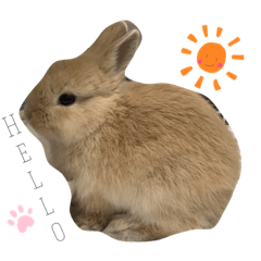 [LINEスタンプ] うさぎの麦くん