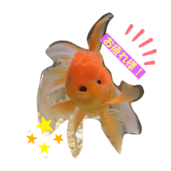 [LINEスタンプ] ぶしゅこ☆2