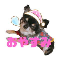 [LINEスタンプ] ダイアちゃん