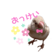 [LINEスタンプ] ぷりんコレクション
