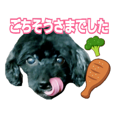 [LINEスタンプ] ワンコスタンプ(トイプー4)