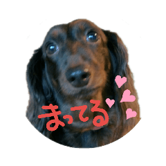 [LINEスタンプ] マリちょびアルろく