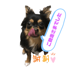[LINEスタンプ] Milly 3