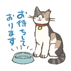 うちの猫みかん