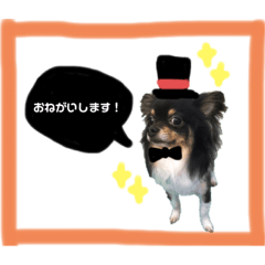 [LINEスタンプ] パルムの日常★
